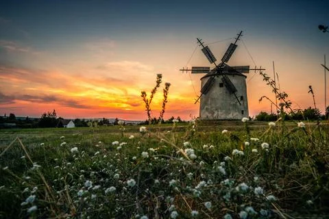  Windmühle im Sonnenuntergang mit Blumen. Abends, Mühlen in einer tollen L. Stock Photos