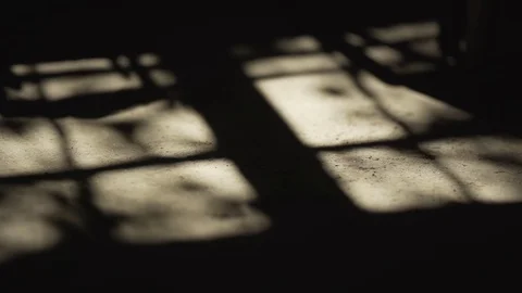 Windoe shadow silhouette Vidéo 79771380
