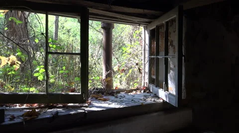 Window of Abandoned House in the Woods Stock Footage 42793567