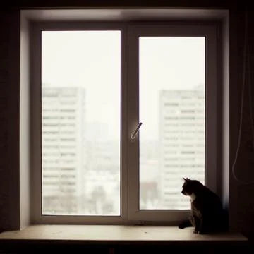 Window and cat on the window sill. Foto stock