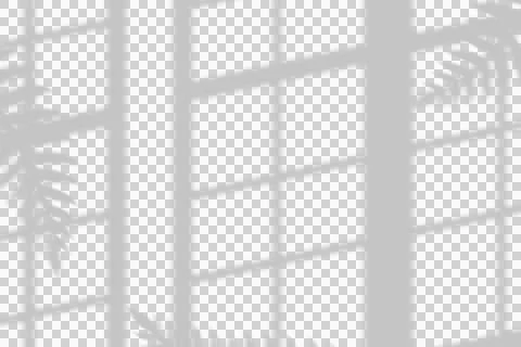 Window and Fern Leaf Shadow Overlay for Graphic Design Stock Illustration