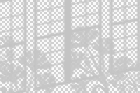 Window and Floral Shadow Overlay for Graphic Design Stock Illustration