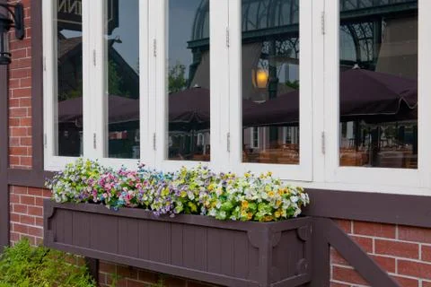 Window and flower Stock Photos
