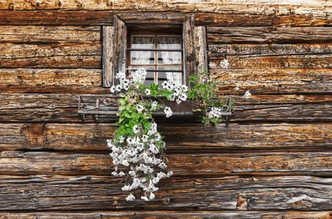 Window and flowers Stock Photos