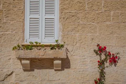 Window and flowers Stock Photos