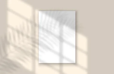 Window and Leaf Realistic Shadow Mock Up Template. Tropical leaf and light from Stock Illustration