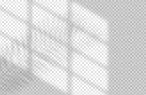 Window and Leaf Realistic Shadow Mock Up Template. Tropical leaf and light from Stock Illustration