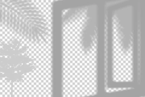 Window and palm leaf shadow overlay for creative graphic design . Illustrazione stock