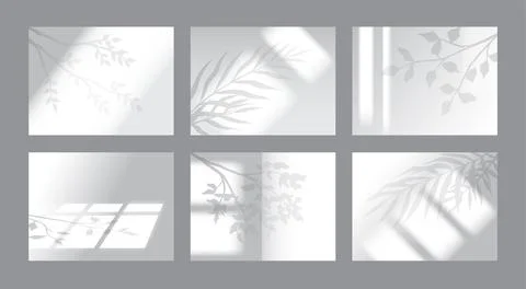 Window and plant shadow set, light leaf and branches. Wall mockup, palm leaves Illustrazione stock