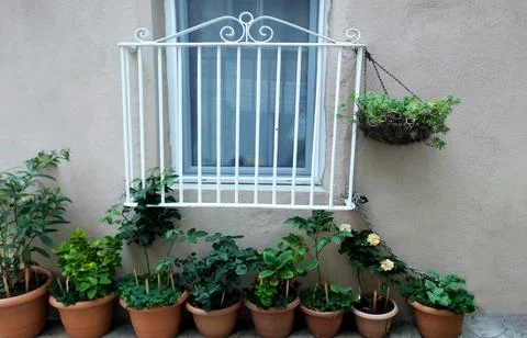 Window and plants 스톡 사진