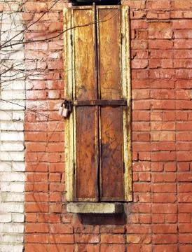 Window and spring branches and shadows Stock Photos