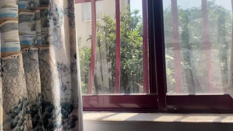 Window and sun Stock Footage 314267599