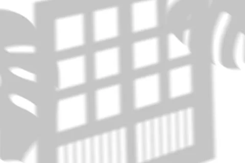 Window and Tropical Leaf Shadow Overlay Illustrazione stock
