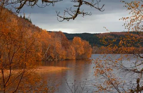 A window on the autumn glory Stock Photos