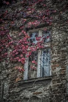 Window in Autumn Stock Photos