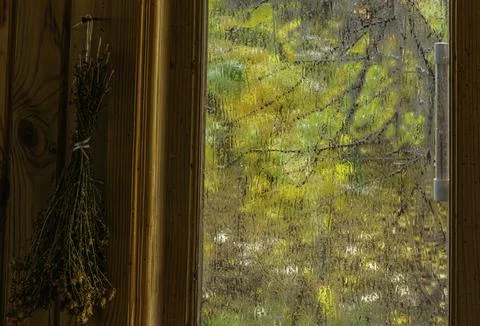 Window to autumn Stock Photos