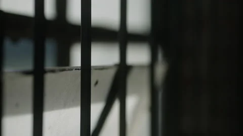 Window Bars Stock Footage 227830489