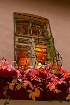 Window with bars at night glowing Stock Photos