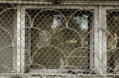 Window with bars of an old house Stock Photos