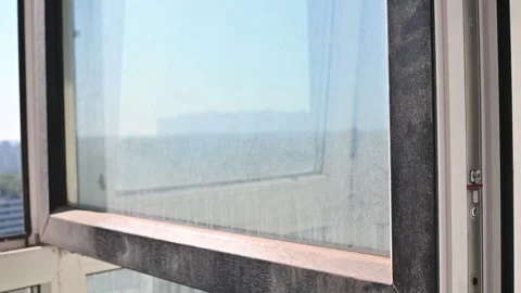 Window being cleaned from dirt and grime. The view outside reveals a city Stock-Footage 336778434