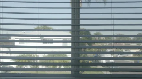 Window Blinds Closing Shut Blocking Outdoor View Stock-Footage 343092973
