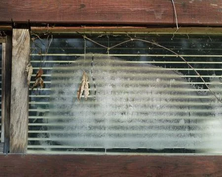 Window with blinds covered with ice 写真素材