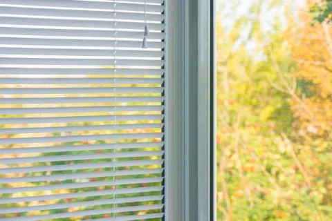 Window blinds Фото