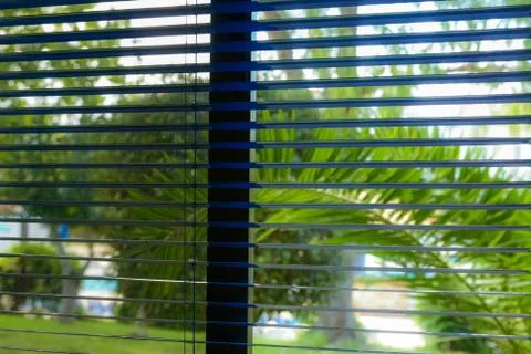 Window blinds Photos