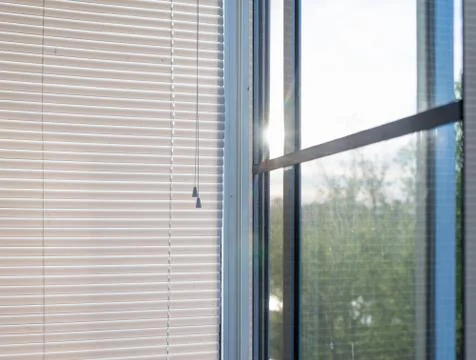 Window blinds Фото