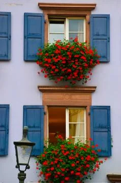 Window with blue shutters Stock Photos