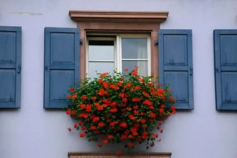 Window with blue shutters Foto stock