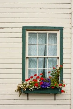 Window box with flowers 库存照片