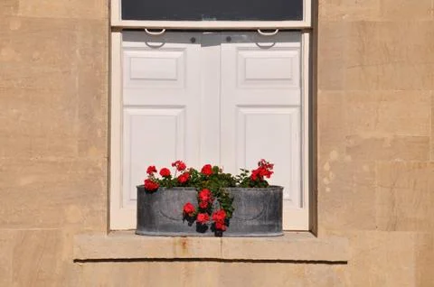 Window box of red flowers Stock Photos