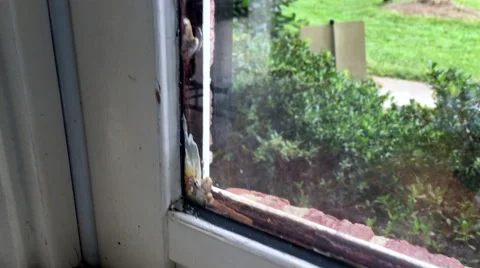 Window with broken seal Stock Footage 67036253