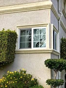 The window with cat silhouette between the green hedges Stock Photos
