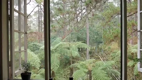 Window Cinematic View I Baguio City Stock-Footage 159639174