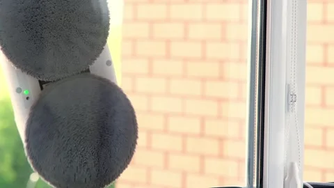 Window cleaner robot, cleaning process, close-up. Housewife uses innovative Stock Footage 241721961