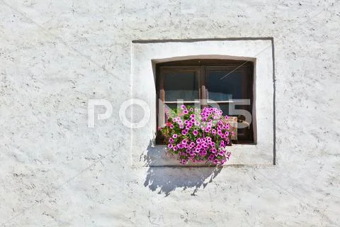 Window with colorful flowers on a white wall Stock Photos
