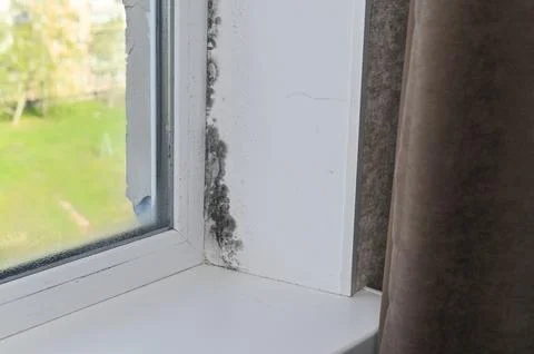 Window corner displays dark mildew buildup caused by condensation and indoor Fotos de archivo