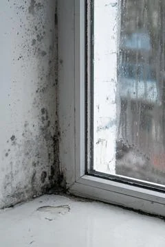 Window corner with mold and condensation on glass, wet frame and sill, fogg.. Stock Photos