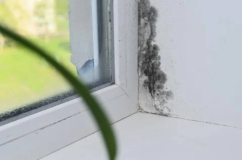 Window corner shows dark mildew stains caused by condensation Fotos de archivo