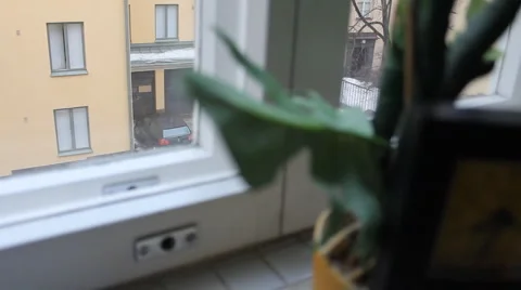 Window in a court yard Stock Footage 4392856