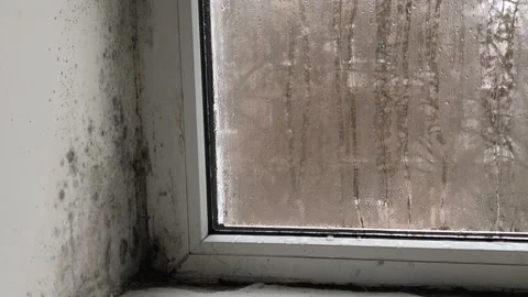 Window covered with condensation and long water drops flowing down glass surface Stock Footage 347456232