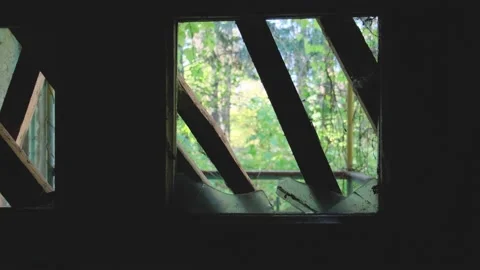Window from a dark room Stock Footage 143671224