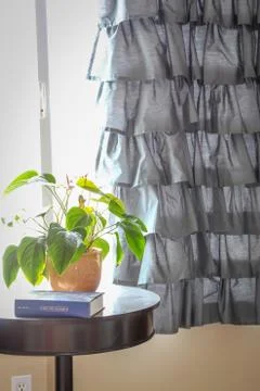 Window With Decorative Curtains and Table With Plant and Book 写真素材