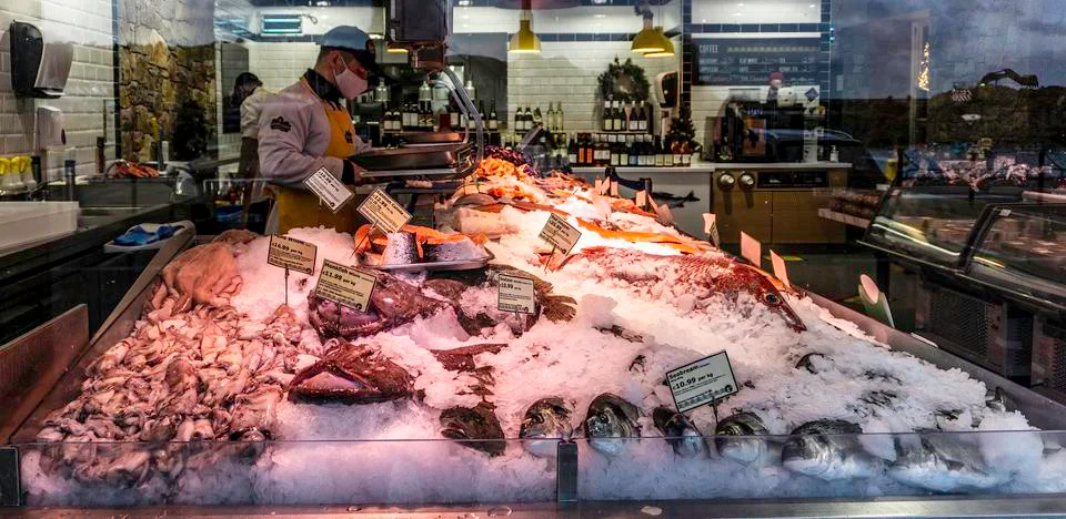 Window display of fresh fish Stock Photos
