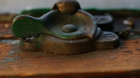 Window Dolly Dead Flies Close Up Stock Footage 57750324