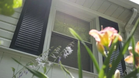 A window with down blinds with flower in foreground under cinematic sunlight on  Stock Footage 134568327