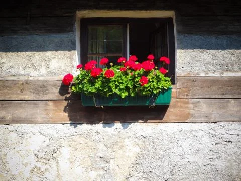 Window with flower basket Stock Photos