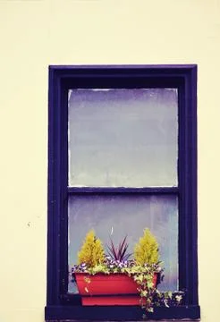 Window with Flower Box Stock Photos